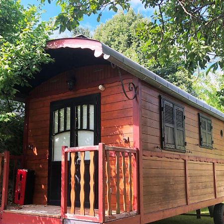 Millygite Roulotte - 4 Seasons Chalet-On-Wheels Buitenkant foto