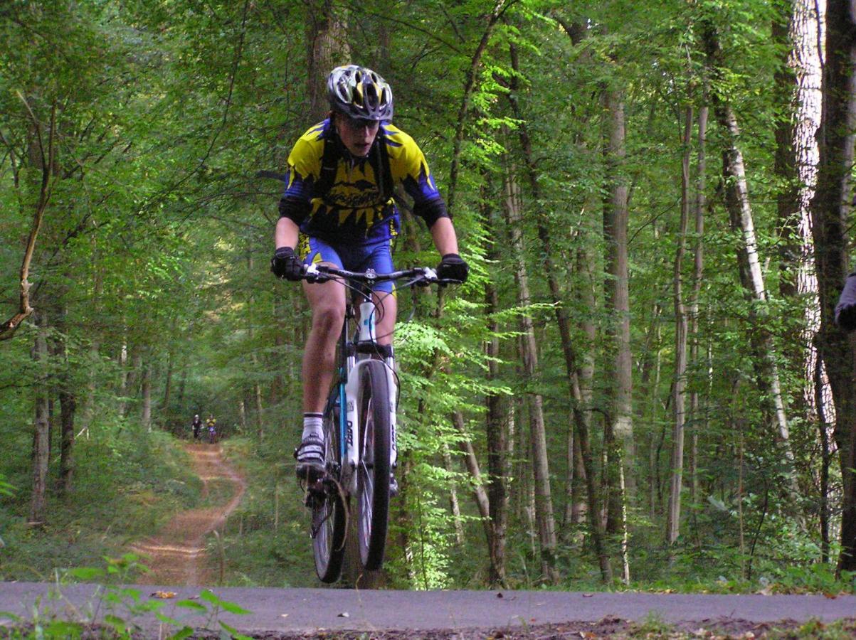 Millygite Roulotte - 4 Seasons Chalet-On-Wheels Buitenkant foto